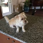 Janet McManus - @janet.mcmanus3 - Instagram