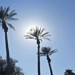 Janet Wilson Mcmanus - @mcmanusjanet - Instagram