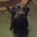 Janet Medley - Facebook