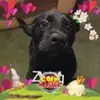 zong14 - @janetmedley7 - TikTok