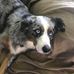 Janet Medlin - Facebook