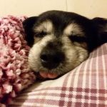 Janet Medlin - @medlin2877 - Instagram