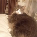 Jane Ellen Melcher - @janeellenmelcher - Instagram