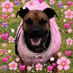 Janet Mellor - @janet.mellor - Instagram