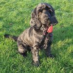 Janet Mellor - @janetmillard13 - Instagram