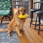Janet Menard Monken - @janetmenardmonken - Instagram