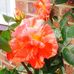 Janet Meredith - Facebook