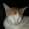 JANET MEREDITH - @2170140159 - TikTok