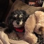 Jane Messinger - @messingerjane - Instagram