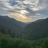 Janet Messer - @janet.messer - TikTok