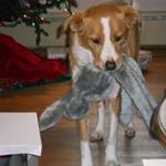 Janet Messner Collins - @messnercollins - Instagram
