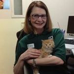 Janet Meyers - @friscoandmavis - Instagram