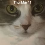 Janet Meyers - @janetmeyers1935 - Instagram