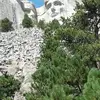 Janet Meyers - @janet.meyers1 - TikTok