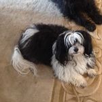 Janet Meyers Tegley - @janettegley - Instagram