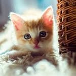 Mickey Janetta Bingelis - @mickeyjanettabingelis - Instagram