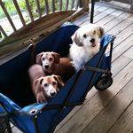 Janet Benfield Milam - @jannert62 - Instagram