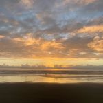 Janet Milam - @gingersnaps59 - Instagram