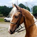 Janet Milam Craft - @janetmilamcraft - Instagram
