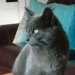 Janet Milligan - @pixiemill - Instagram