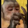 Janet Mireles - @mirest0232 - TikTok