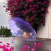 Janet Mohamed - Facebook
