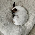 Janet Mohler - @mohlerjanet09 - Instagram