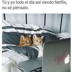 Janet Moreira - @janetmoreira9361 - Instagram