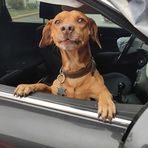 Janet Mary - Facebook