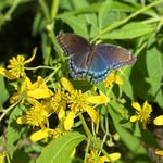 Janet Morey Fisher - @jkmfish99 - Instagram