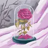 Janet Muhammad - @janet.muhammad0 - TikTok