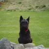 Janet Munnelly - @janet.munnelly - TikTok