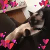 janetmunroe798 - @janetmunroe798 - TikTok