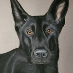 Jane Musser - @pastelsbyjane - Instagram