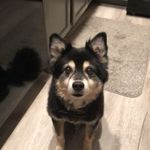 Janet Musser - @janetlynnm01 - Instagram