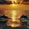 janetnewkirk767 - @janetnewkirk767 - TikTok
