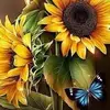 janetnewmeyer - @janetnewmeyer - TikTok