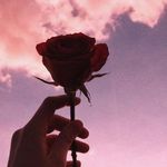 @Janet Nicolás 🌻🌿 - @janetn178 - Instagram