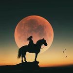 Janet Nipper - @ahorselover2 - Instagram