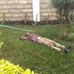Janet Noah - Facebook