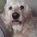 Janet Noakes - Facebook