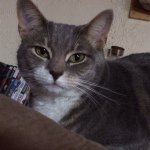 Janet Noto - @dragon926 - Instagram