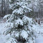 Janet Jenkins Nowicki - @janet.j.nowicki - Instagram