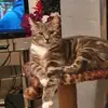 Janet Nunn - @janetnunn2 - TikTok