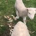 Janet Nunn - Facebook