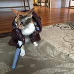 Janet Nunn Chan - @goobug100 - Instagram
