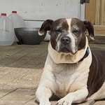 Janet Nunn Diffenderfer - @janetnunndiffenderfer - Instagram