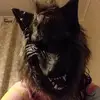 Janet Nunn Nunn - @gracienunn1678 - TikTok
