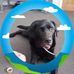 Janet Nunn Nunn - Facebook