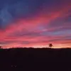 Janet Ocampo - @janet.ocampo58 - TikTok